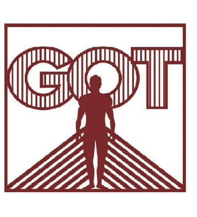 GOT - Grupo de Ortopedia e Traumatologia